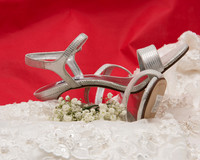 Tom and Gina-45