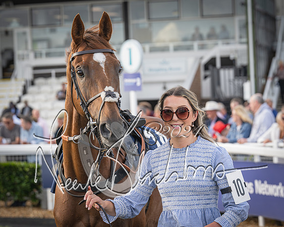 Race 3 - The pointtopoint.co.uk champion novices’ Hunter Chase (35 of 140)