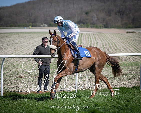 Race 2 - The Maiden (35 of 118)