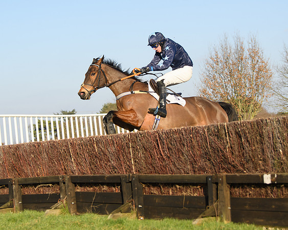 Race 3 - Restricted  (130 of 143)