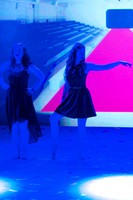 Seniors Ballet  1
