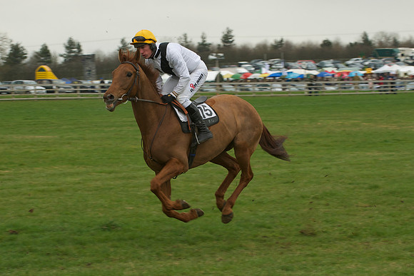 Race 5 - 14