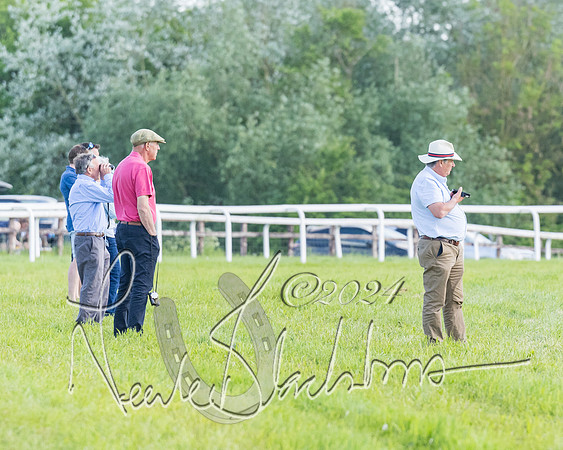 Race 7 - Veteran Horse (62 of 246)