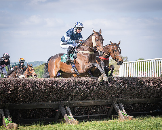 Race 5 - Restricted (53 of 116)