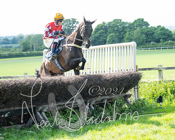 Race 5  - Maiden race 2m5F Div-1 (162 of 197)