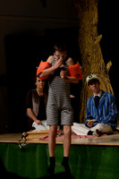 Wind in the Willows - Act-1  13