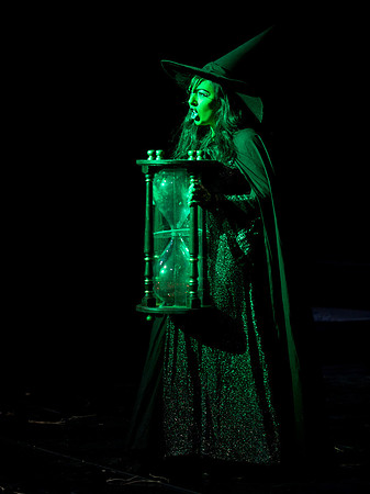 The Wizard of OZ -  349