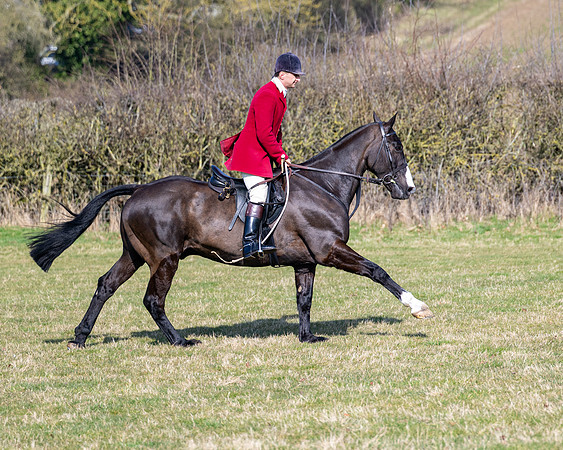 Race 2 - Restricted Race (54 of 126)