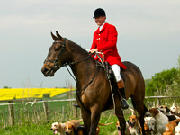 Ponies and Hounds 18