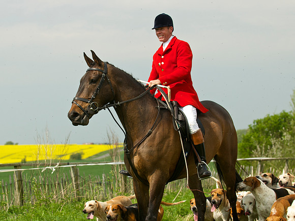 Ponies and Hounds 18