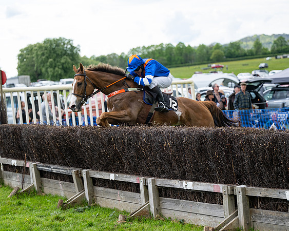 Race 5  - Maiden  (40 of 84)