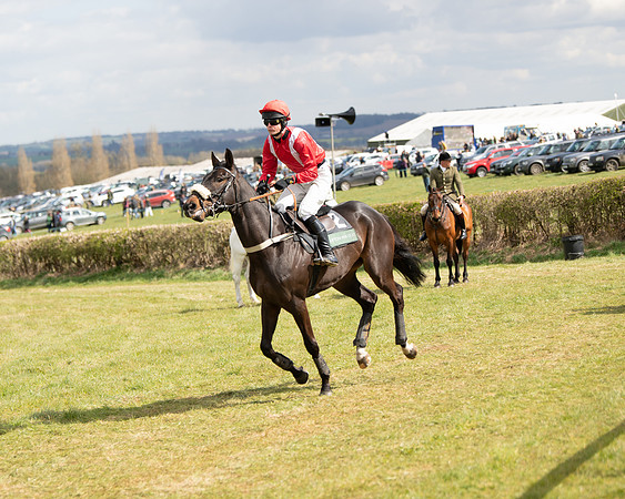 Race 2 - Young Horse Maiden (22 of 104)