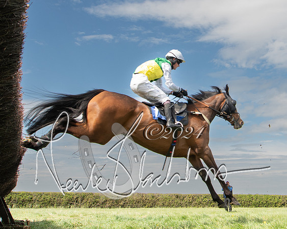 Race 2 - The Elliott of London maiden race (105 of 137)