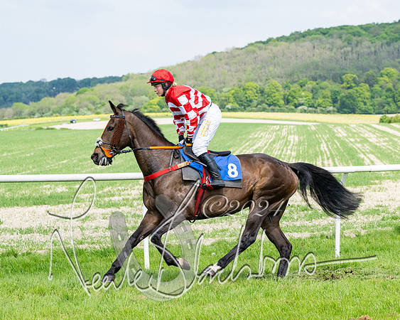 Race 2 - Restricted  (124 of 308)