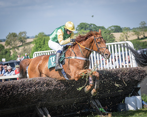 Race 5 - Restricted (90 of 116)
