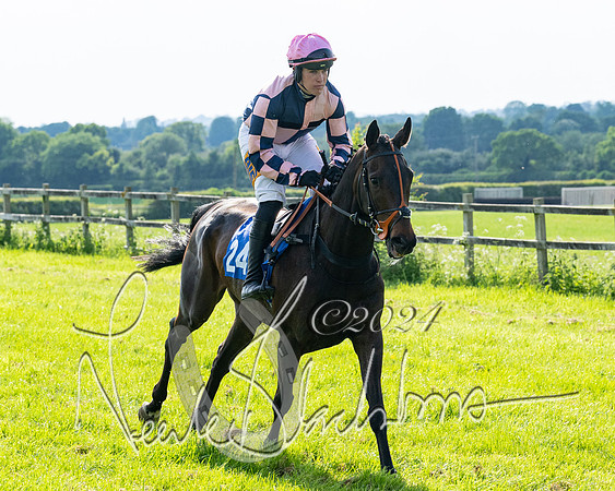 Race 5  - Maiden race 2m5F Div-2 (66 of 205)