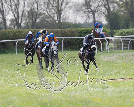 Race 2 - The Elliott of London maiden race (106 of 137)