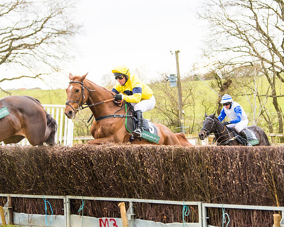 Race 6 - 6 year old and over Maiden 2m4f (17 of 62)