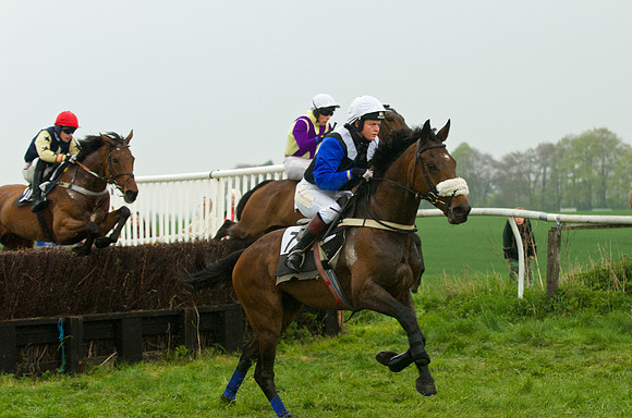 Old Berks at Lockinge Mixed Open Race