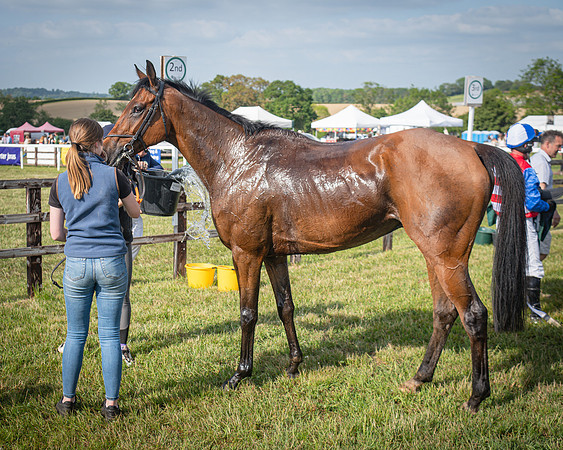 Race 6 - 2m5f Conditions (63 of 70)