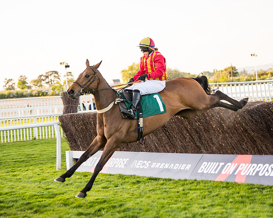 Race 5 - ITM Mares'  (53 of 181)