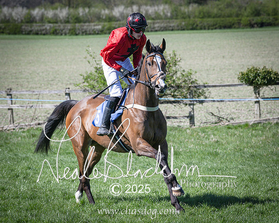 Race 4 - Mixed Open (32 of 168)