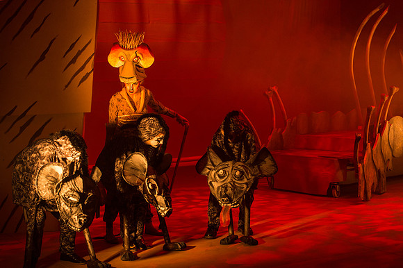 Lion King (174 of 484).jpg