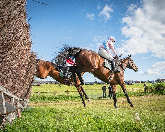 Race 7 - Walnut Hill PPORA club members maiden (41 of 104)