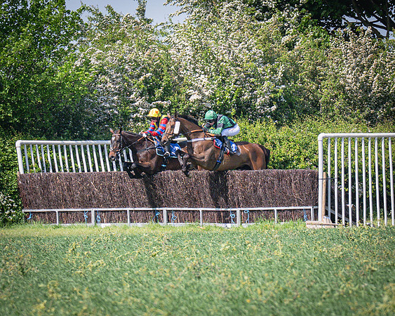 Race 3 The College and County Ladies Open Race (51 of 122)