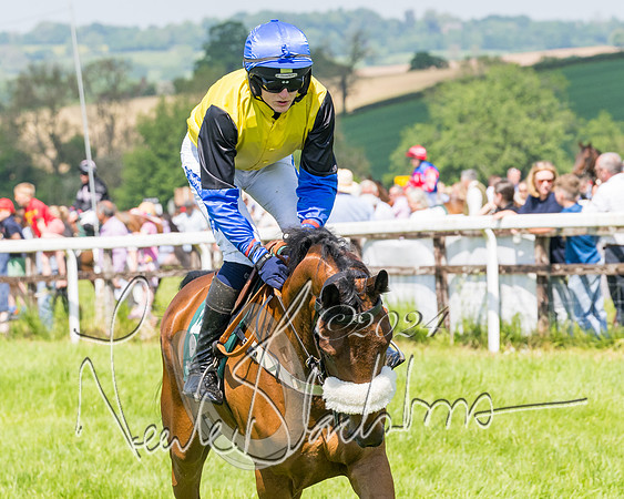 Race 2 - The Maiden  (67 of 442)