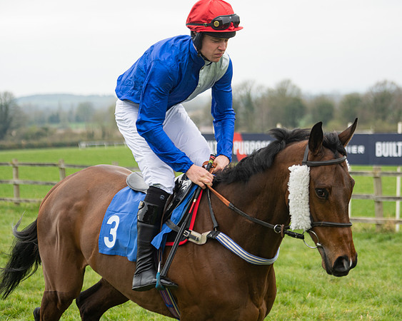Race 3 - Open maiden  (10 of 273)