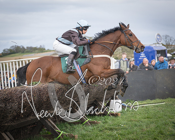 Race 3 - 5 years old and Over Maiden Race (76 of 130)
