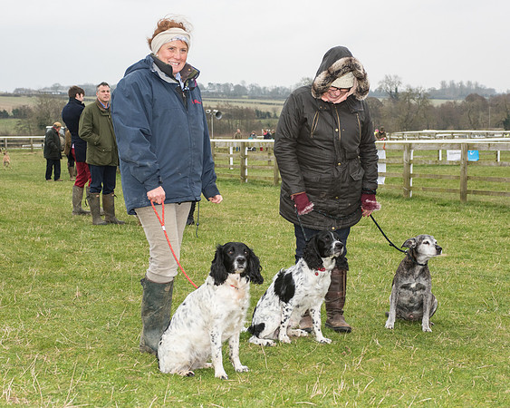 Bicester Ponies-155.jpg