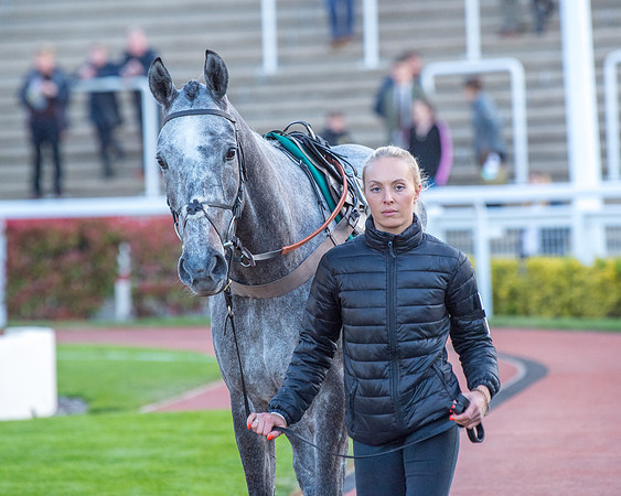 Race 7 - Glos Hussars  (46 of 245)