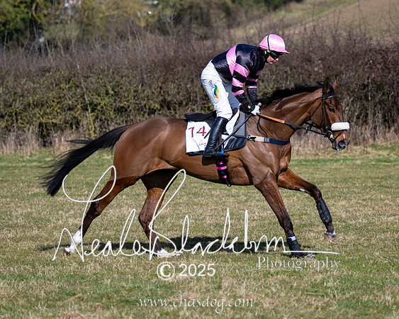 Race 1 - Maiden (52 of 188)