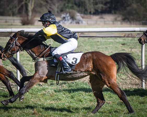 Pony Races (47 of 112)