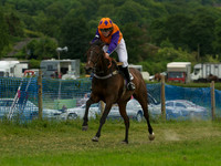 Pony Race - 1