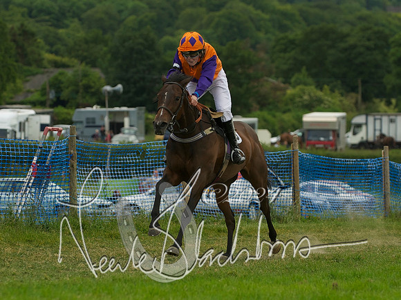 Pony Race - 1
