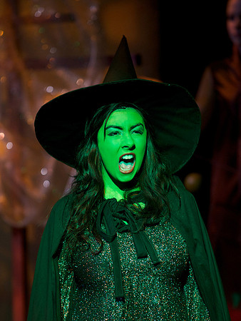 The Wizard of OZ -  174