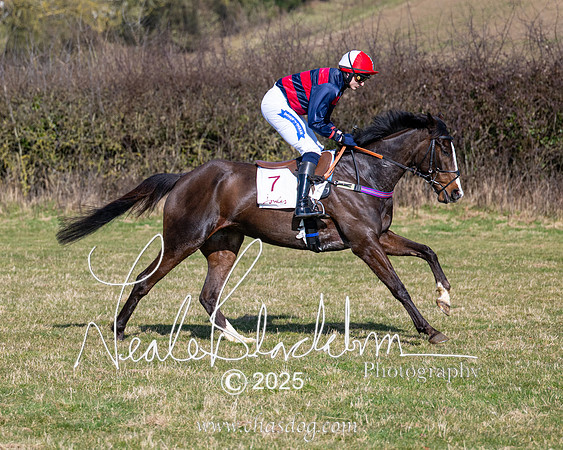 Race 1 - Maiden (64 of 188)