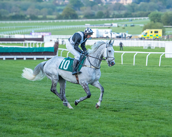 Race 7 - Glos Hussars  (76 of 245)
