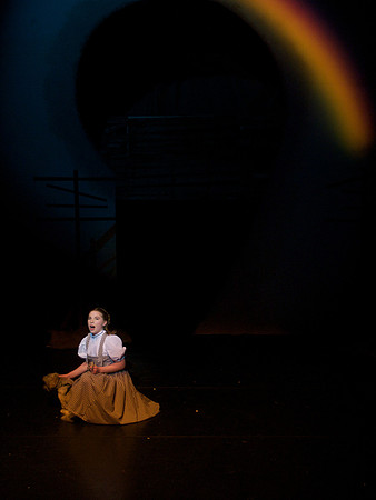 The Wizard of OZ -  11