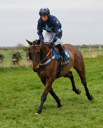 Race 2 - Veteran Horse (12 of 153)