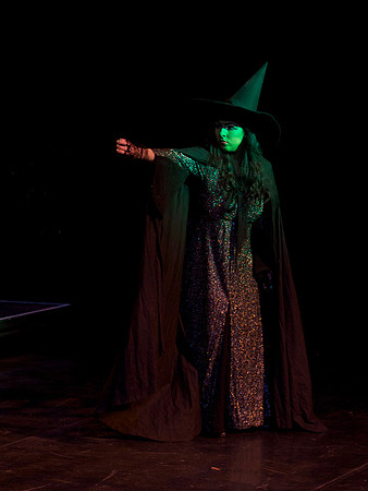 The Wizard of OZ -  175