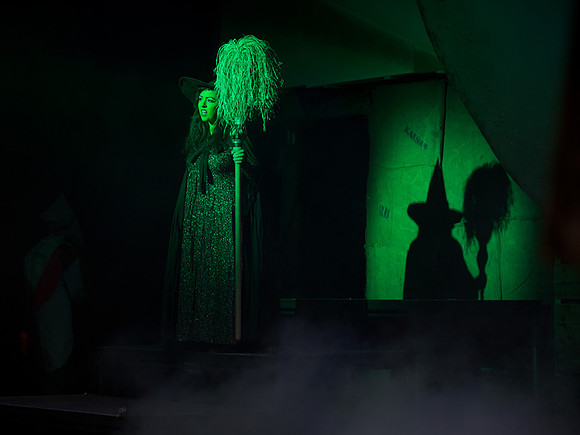 The Wizard of OZ -  288