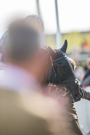 Race 1 - The open Hunter chase  (93 of 95)