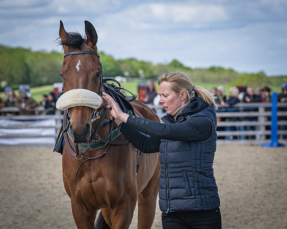 Race 2 - Winkworth conditions race 2m 4f (2 of 126)