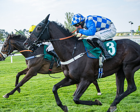 Race 1 - The open Hunter chase  (61 of 95)