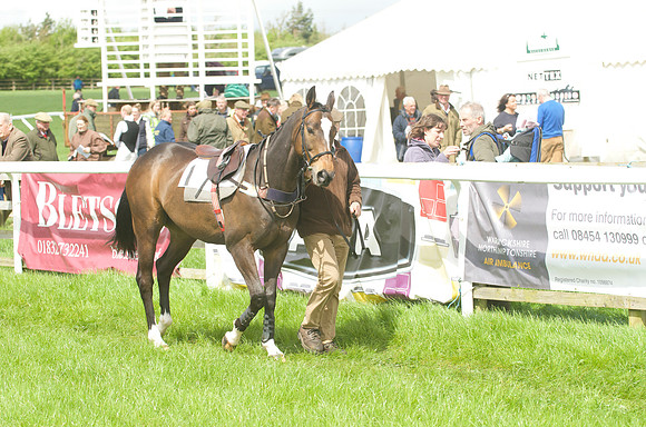 Pony Race - 3    8