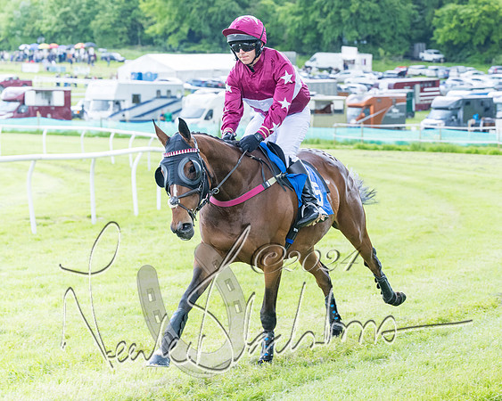 Race 3 - Conditions (126 of 367)